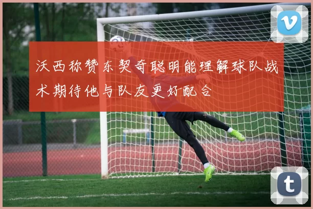 沃西称赞东契奇聪明能理解球队战术期待他与队友更好配合