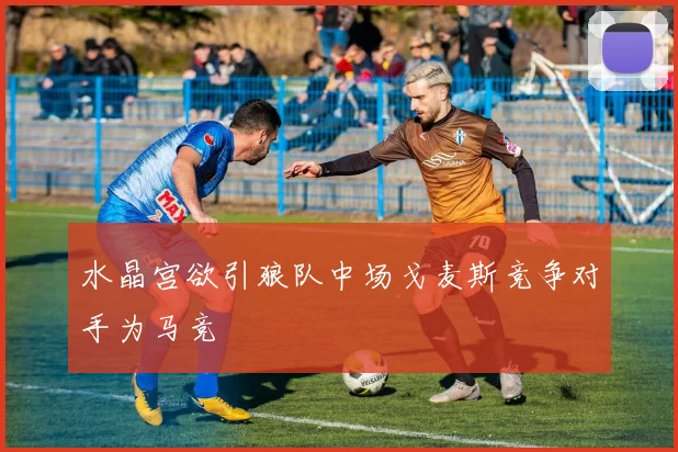 水晶宫欲引狼队中场戈麦斯竞争对手为马竞